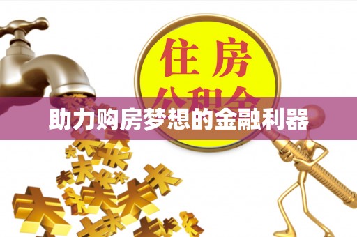 龙州助力购房梦想的金融利器