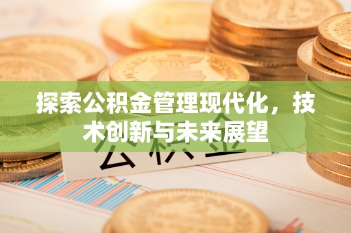 龙州探索公积金管理现代化，技术创新与未来展望