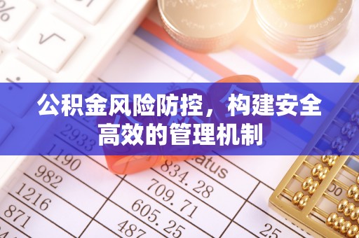 龙州公积金风险防控，构建安全高效的管理机制