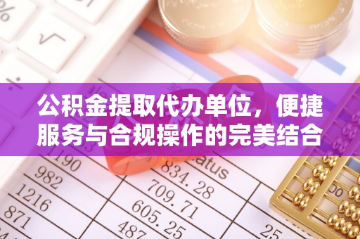 龙州公积金提取代办单位，便捷服务与合规操作的完美结合