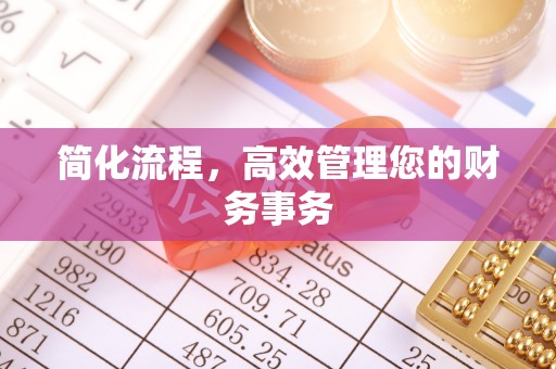 龙州简化流程，高效管理您的财务事务