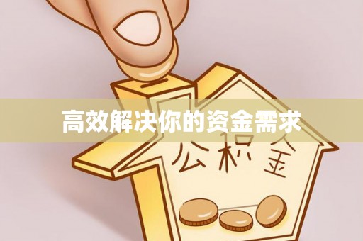龙州高效解决你的资金需求