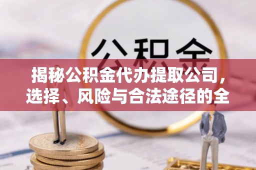 龙州揭秘公积金代办提取公司，选择、风险与合法途径的全面解析