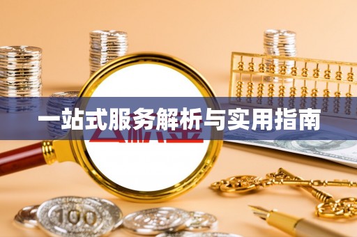 龙州一站式服务解析与实用指南