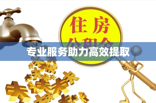 龙州专业服务助力高效提取