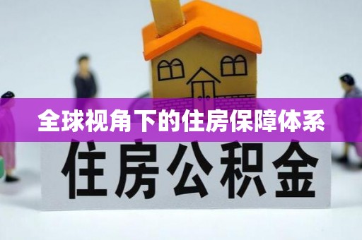 龙州全球视角下的住房保障体系