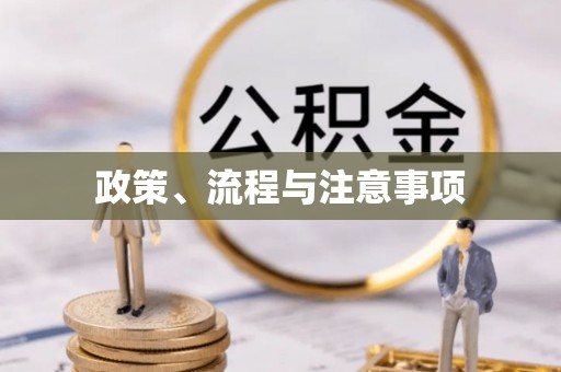 龙州政策、流程与注意事项