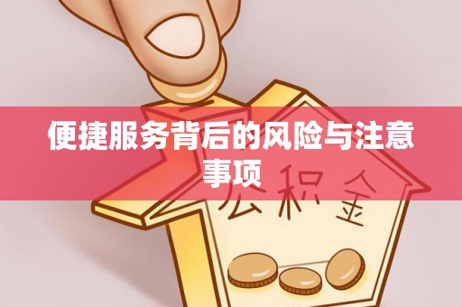 龙州便捷服务背后的风险与注意事项