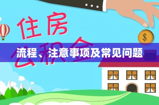 龙州流程、注意事项及常见问题