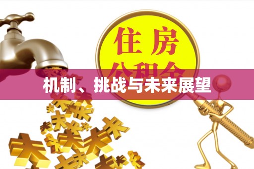 龙州机制、挑战与未来展望