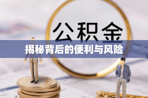 龙州揭秘背后的便利与风险