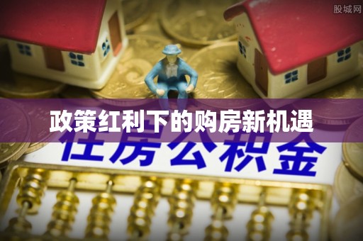 龙州政策红利下的购房新机遇