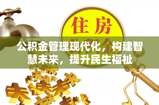 龙州公积金管理现代化，构建智慧未来，提升民生福祉
